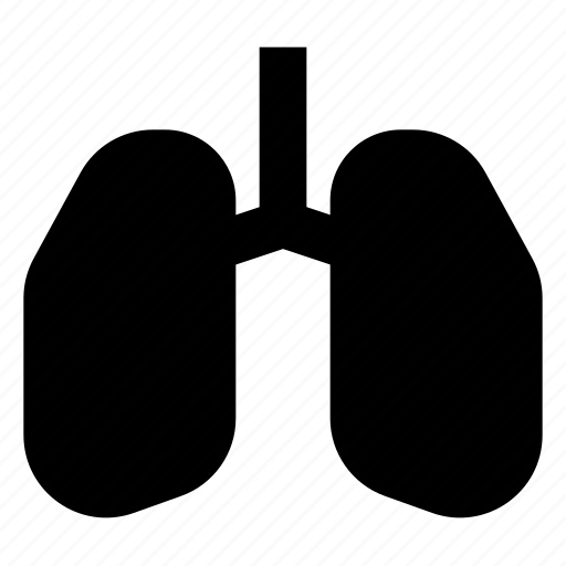 Lungs, organ, healthcare, healty, hospital, medical icon - Download on Iconfinder