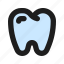 tooth, dental, dentist, oral, hygiene, medical 
