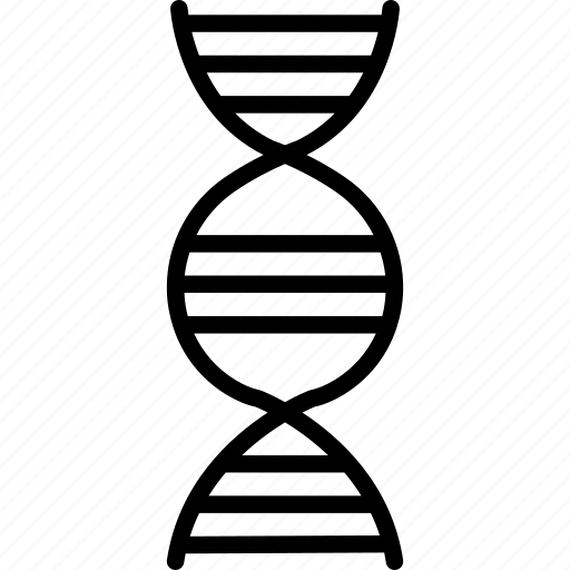 Dna, double helix, genetics, biology, genetic, science, chromosome icon - Download on Iconfinder