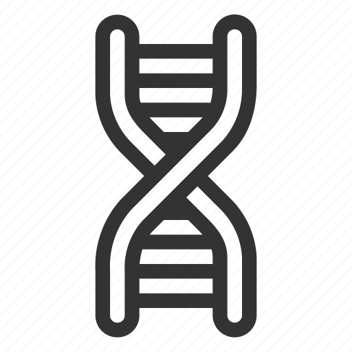 Dna, research, biology, chemistry, genetics, science, genetic icon - Download on Iconfinder