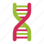 dna, research, biology, genetics, science, genetic, gene, helix 