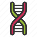 dna, biology, genetics, science, genetic, gene, helix, molecule