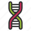 dna, biology, genetics, science, genetic, gene, helix, molecule 