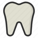 tooth, stomatology, teeth, medicine, healthcare, dental, dentist, medical