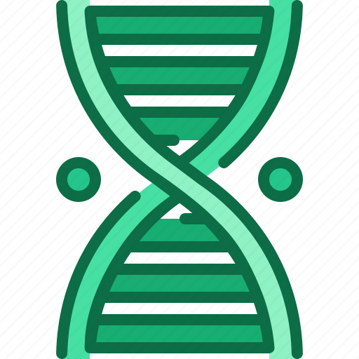 Dna, genetic, structure, spiral, science, helix, education icon - Download on Iconfinder