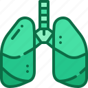 lungs, respiratory, organ, anatomy, internal, breath, body, part