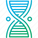 dna, genetic, structure, spiral, science, helix, education