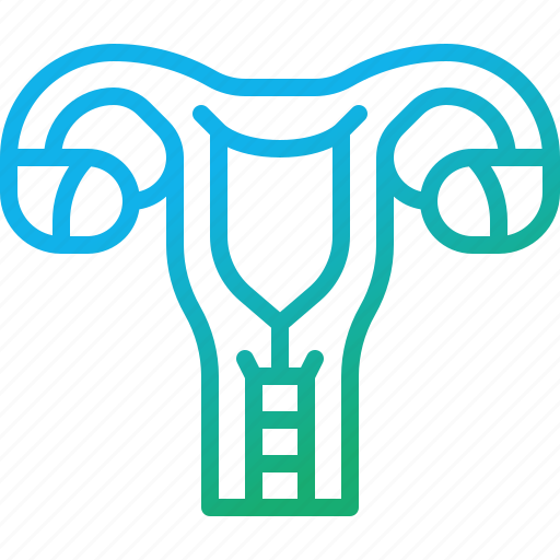 Uterus, reproductive, system, female, ovary, organ, anatomy icon - Download on Iconfinder
