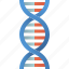 dna, biology, gene, genetic, medical 