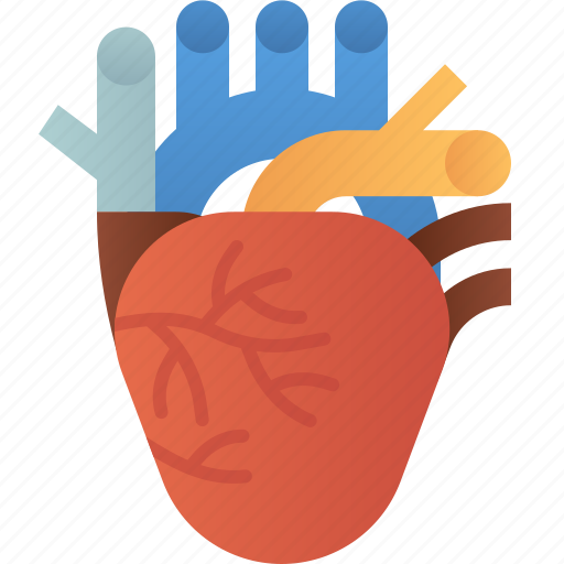 Heart, heartbeat, biology, anatomy, organ icon - Download on Iconfinder