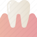 tooth, dental, dentist, clinic, oral