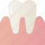tooth, dental, dentist, clinic, oral 