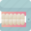 tooth, dental, dentist, medicine, model 