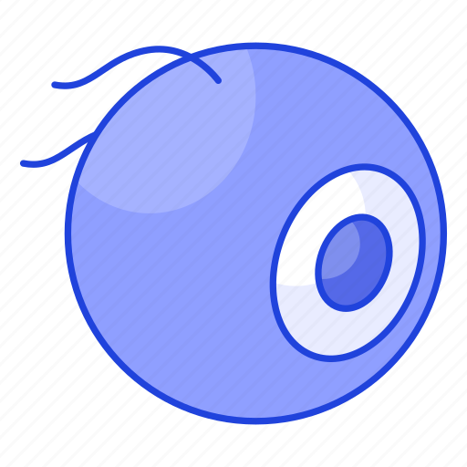 Eyeball, eye, organ, ocular, medical, healthcare, human icon - Download on Iconfinder
