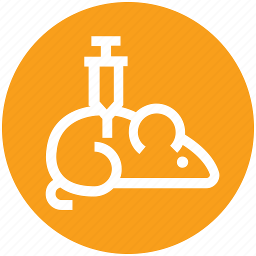 Chemistry, injection, mouse, research, test icon - Download on Iconfinder