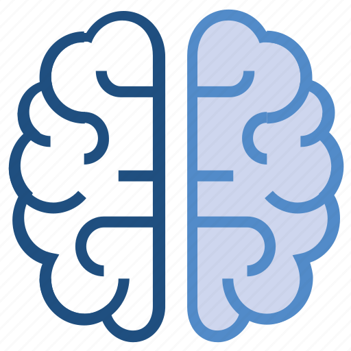 Brain, healthcare, intelligence, medical, mind icon - Download on Iconfinder