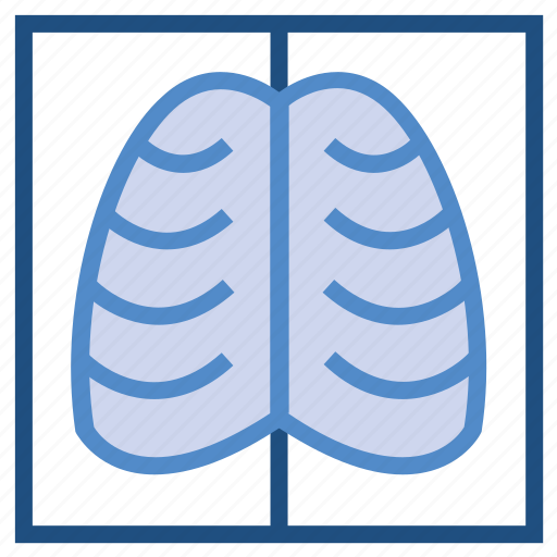 Anatomy, human, lungs, medical, ribs icon - Download on Iconfinder