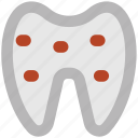 dental, dentistry, human teeth, molar, stomatology, teeth, tooth