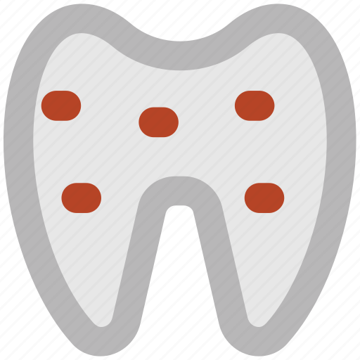 Dental, dentistry, human teeth, molar, stomatology, teeth, tooth icon - Download on Iconfinder