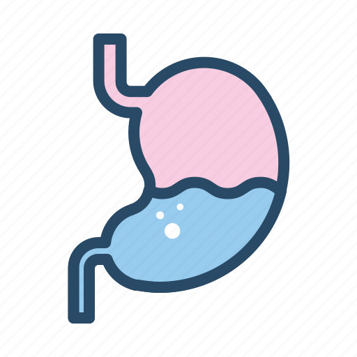 Acid, gastric, medical, organ, stomach icon - Download on Iconfinder