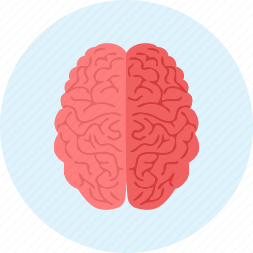 Brain, brainstorm, brainstorming, medical, medicine icon - Download on Iconfinder