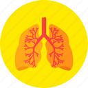 lungs, medical, medicine, organ, respiratory, system