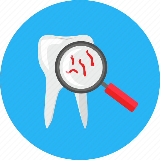 Tooth, dentistry, doctor, health, healthcare, medical, medicine icon - Download on Iconfinder