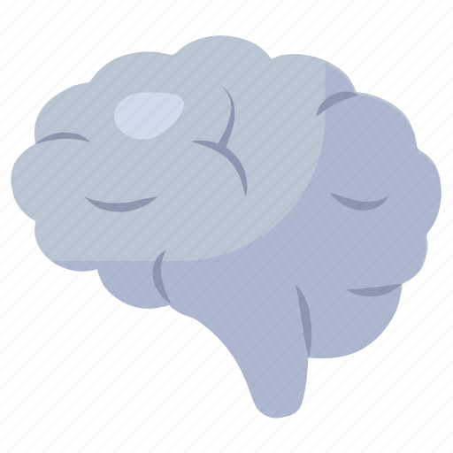Brain, cerebral cortex, intellect, mind, neural structure, neurology icon - Download on Iconfinder