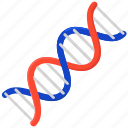 chromosome, deoxyribonucleic acid, dna, gene, heredity, nucleic acid