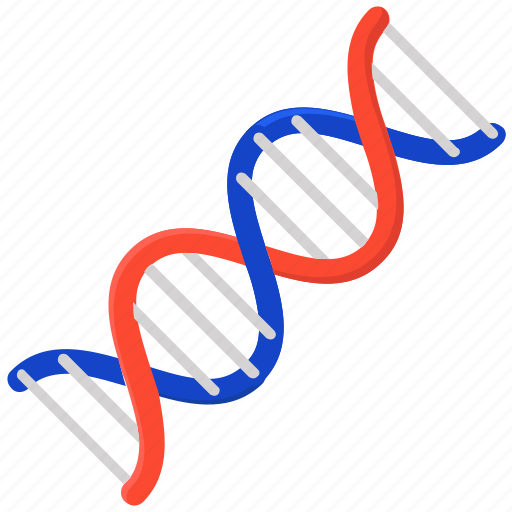 Chromosome, deoxyribonucleic acid, dna, gene, heredity, nucleic acid icon - Download on Iconfinder