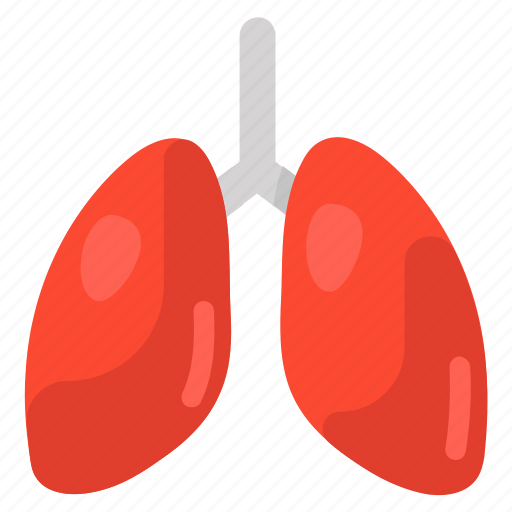Bronchial, healthcare, human lungs, human organ, lungs, pulmonology, respiratory tract icon - Download on Iconfinder
