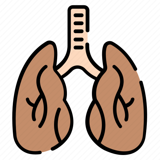 Lungs, anatomy, lung, organ, healthcare icon - Download on Iconfinder