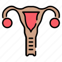 uterus, gynecology, ovary, womb, reproductive
