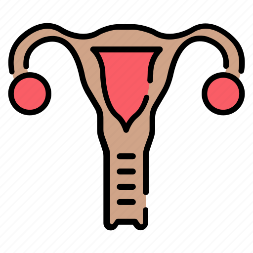 Uterus, gynecology, ovary, womb, reproductive icon - Download on Iconfinder