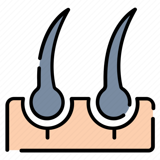 Hair follicle, follicle, growth, hair, treatment icon - Download on Iconfinder