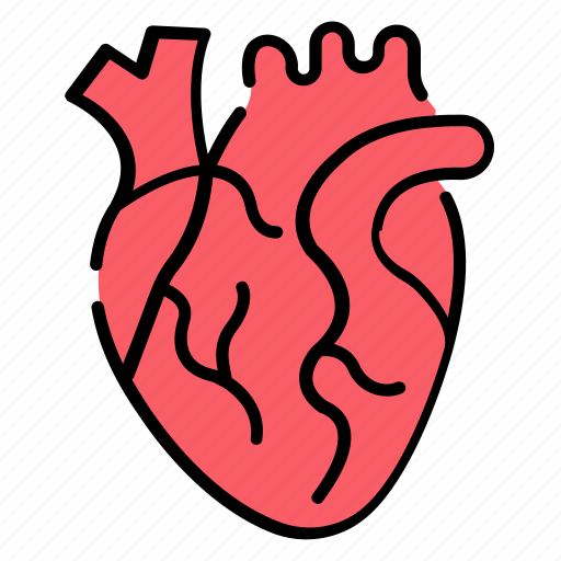 Heart, cardiology, human, organ, medical icon - Download on Iconfinder