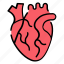 heart, cardiology, human, organ, medical 