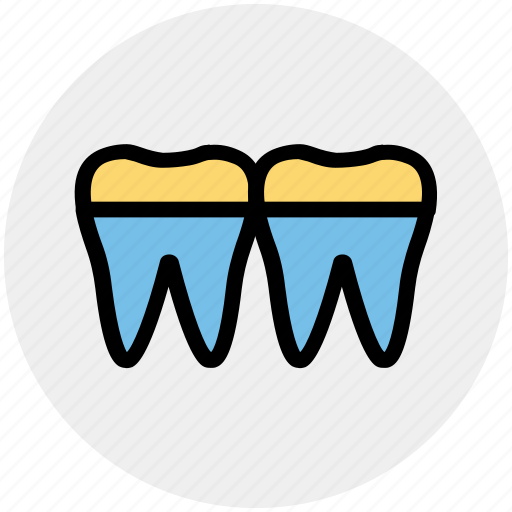 Anatomy, braces, denture, retainer, teeth icon - Download on Iconfinder