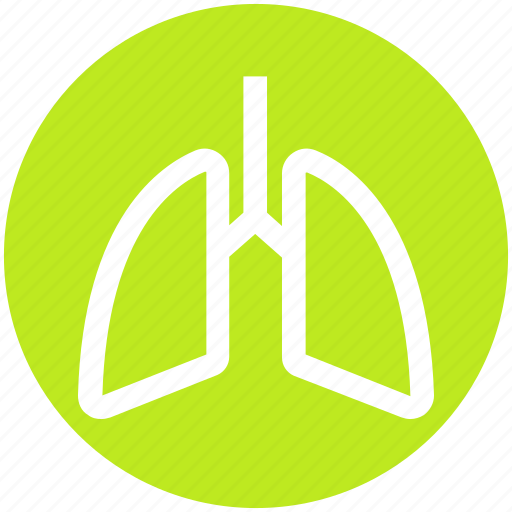 .svg, anatomy, breathe, lungs, medical, pulmonology, respiratory icon - Download on Iconfinder
