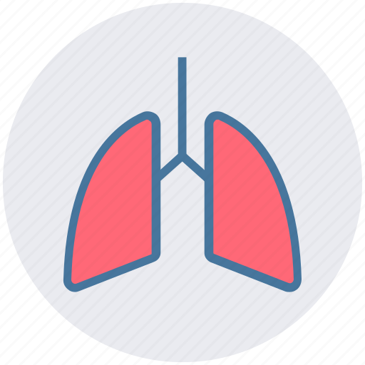 Anatomy, breathe, lungs, medical, pulmonology, respiratory icon - Download on Iconfinder