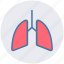 anatomy, breathe, lungs, medical, pulmonology, respiratory 