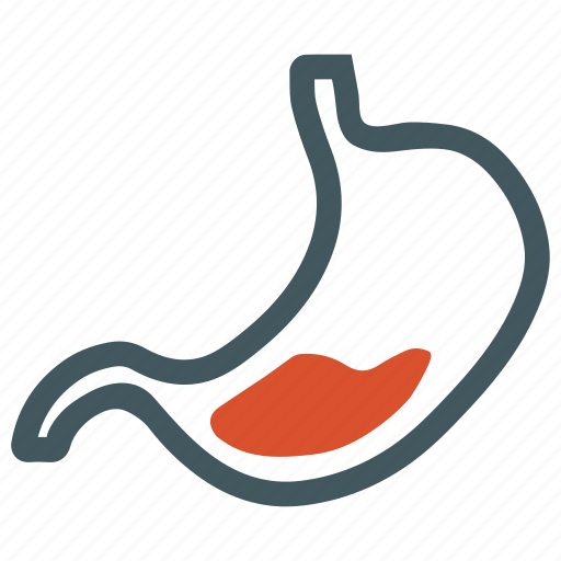 Resultado de imagen para gastroenterology icon