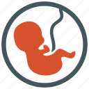 embryo, fetus, newborn, obstetrics, pregnancy