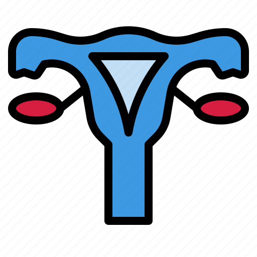 Female, menstruation, ovary, reproduction, uterus icon - Download on Iconfinder