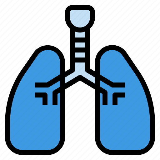 Breath, care, hospital, lung, respiration, xray icon - Download on Iconfinder