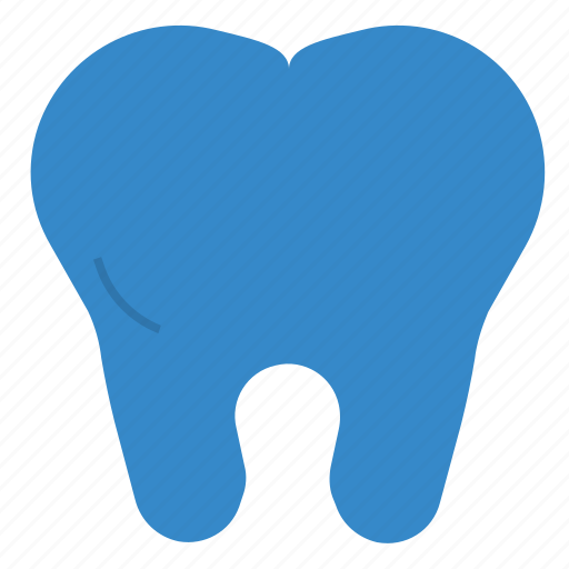 Clean, dental, dentist, healthy, tooth icon - Download on Iconfinder