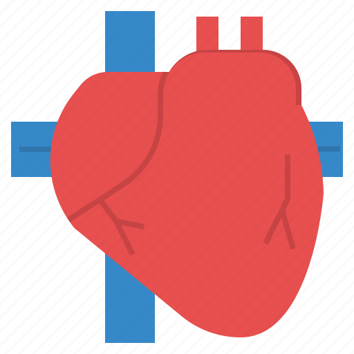 Body, cardiac, heart, human, live icon - Download on Iconfinder