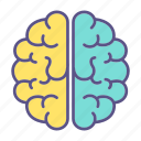 brain, cerebral, healthcare, human, idea, intelligence, think