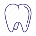 dental, dentist, dentistry, medical, mouth, teeth, tooth