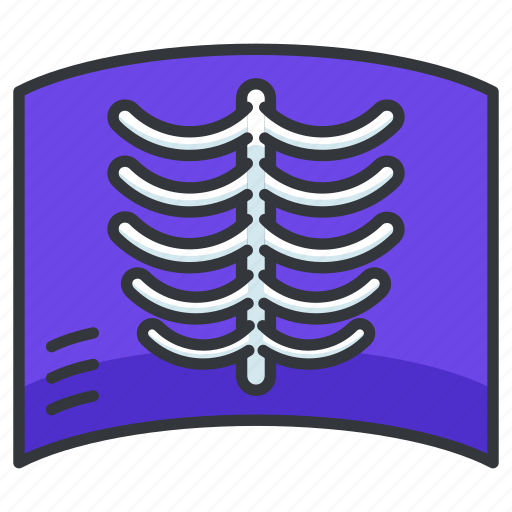 Healthcare, hospital, medical, xray, health icon - Download on Iconfinder